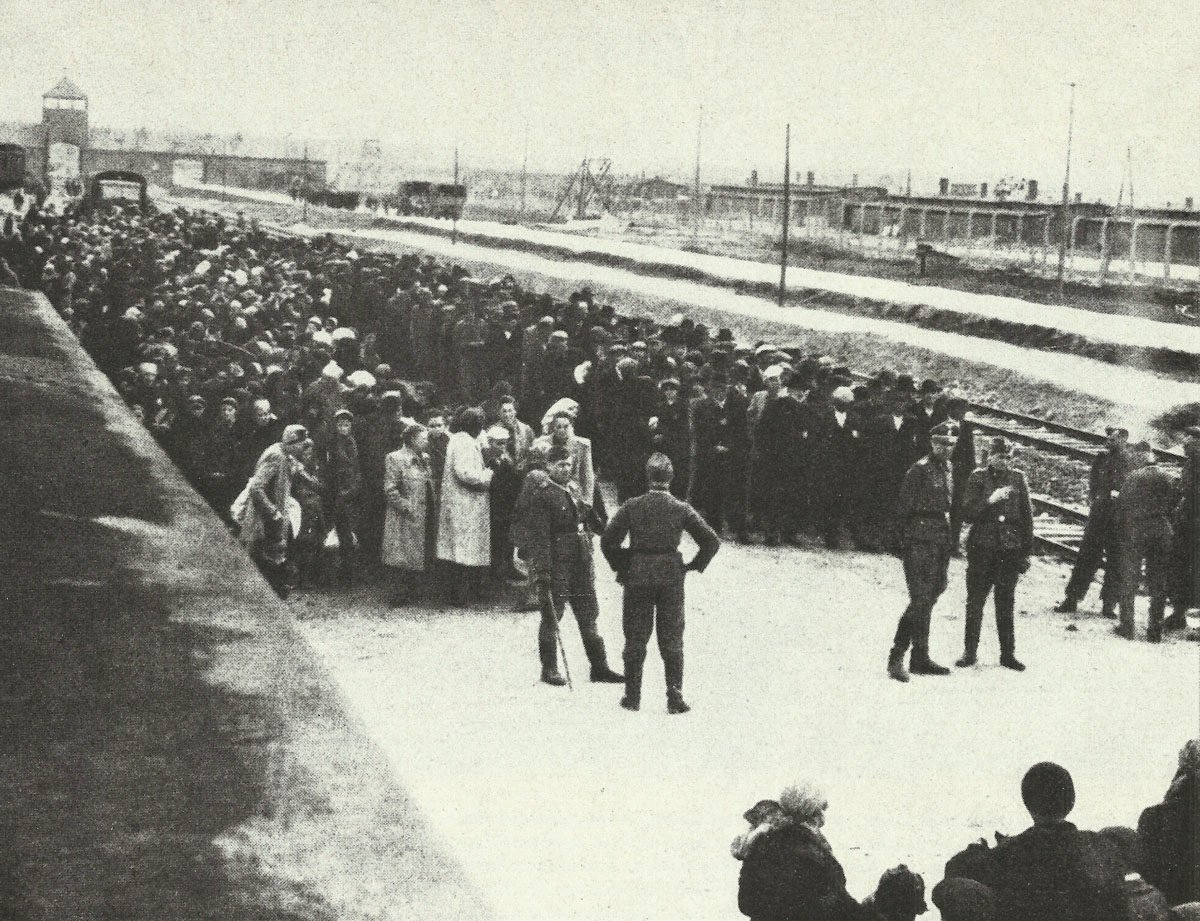 'selection' at Auschwitz-Birkenau concentration camp