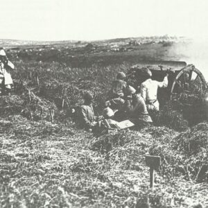 Turkish field artillery, equipped with German 75mm howitzers