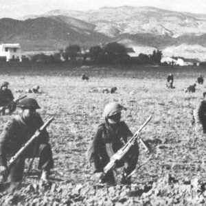 British infantry in front of 'Two Tree Hill',