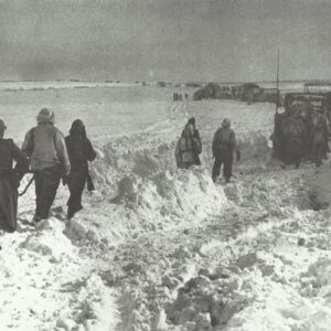 Retreat of German troops through the snow-covered steppe