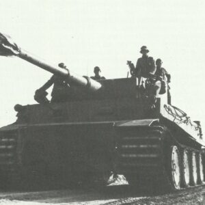 Tiger tanks in Africa