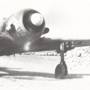 Fw 190 fighter-bomber
