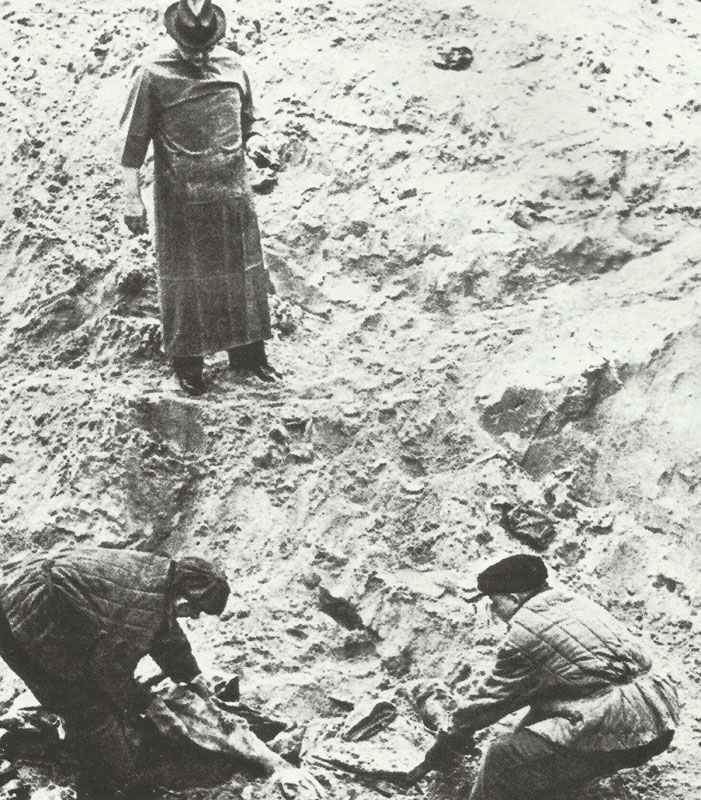 Exhumation of corpses of the Katyn massacres