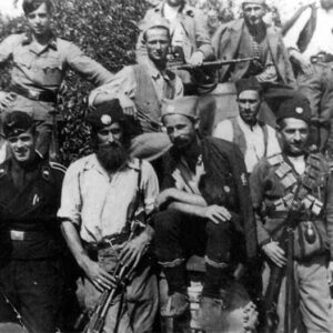 German tank crew with Chetniks