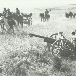 French artillery Tunisia