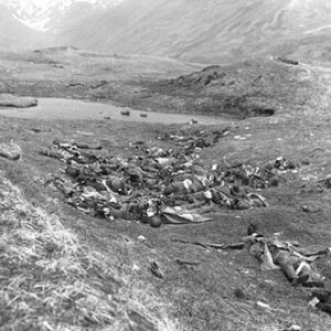 Killed Japnaese soldiers Attu