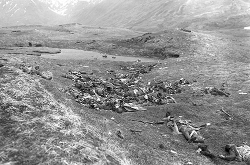 Killed Japnaese soldiers Attu