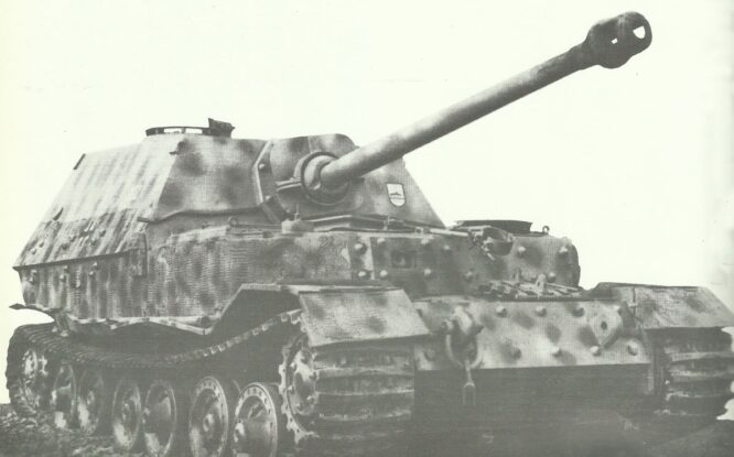 Jpz Elefant 02