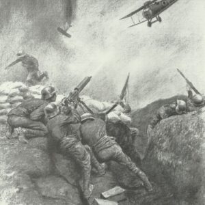 Austrian-Hungarian troops fought strafing British planes