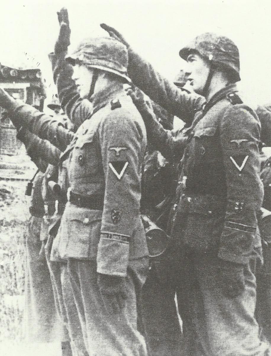 Waffen-SS Uniforms 7 Flemish volunteers from Belgium