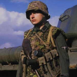 Soldier of LSAAH in front of a knocked-out T-34