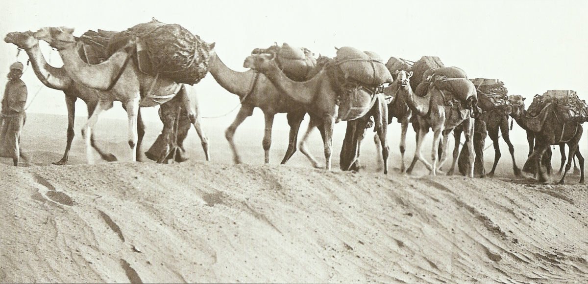 Diary August 30, 1918 6 camel supply column