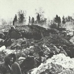 German defensive position against the Russian Narwa bridgehead.