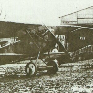 Three Fokker D.VII of Jasta 2