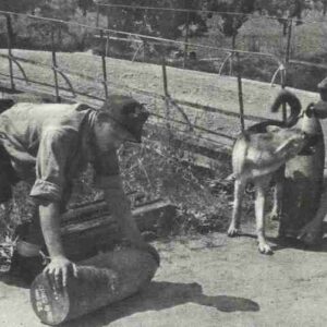 German bridge blasting during retreat from southern Italy