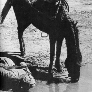 Russian soldier and his horse drinking