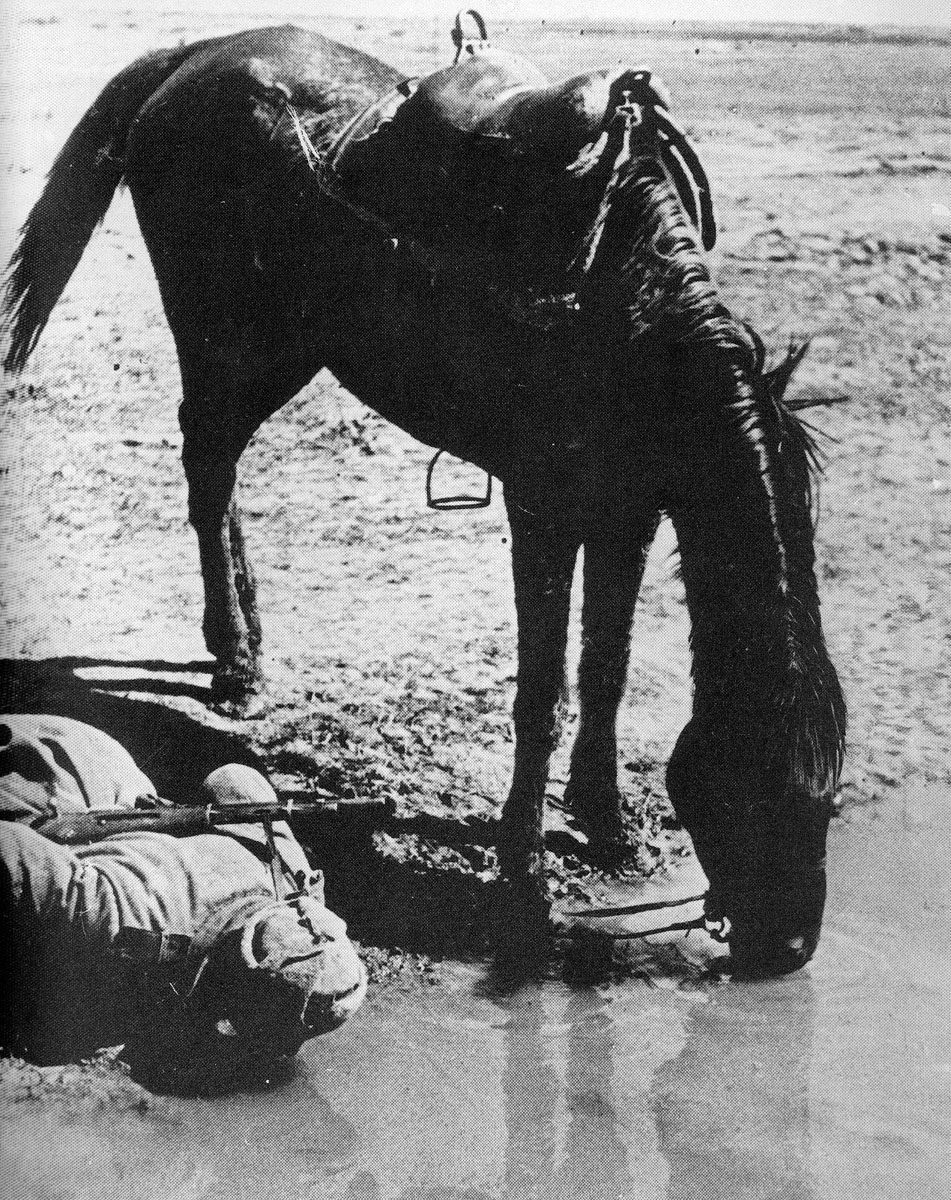 Diary March 13, 1944 6 Russian soldier and his horse drinking