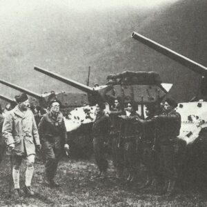 French tank destroyers M10 Wolverine
