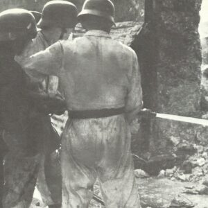 Luftwaffe soldiers deployed as firefighters