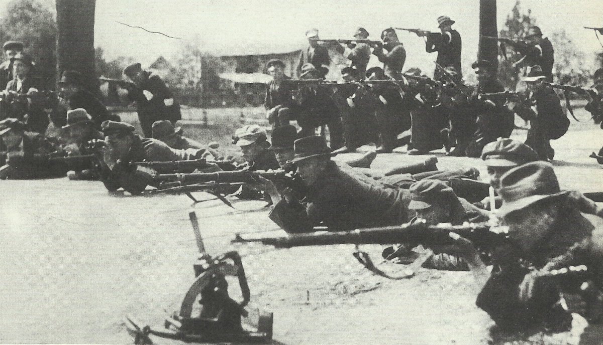 Diary February 16, 1919 36 Polish insurgents shoot