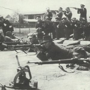 Polish insurgents shoot