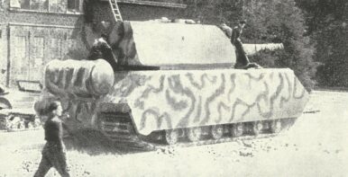 Maus 01