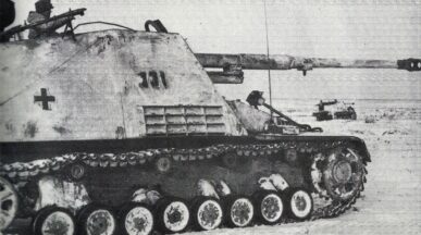 Nashorn 03