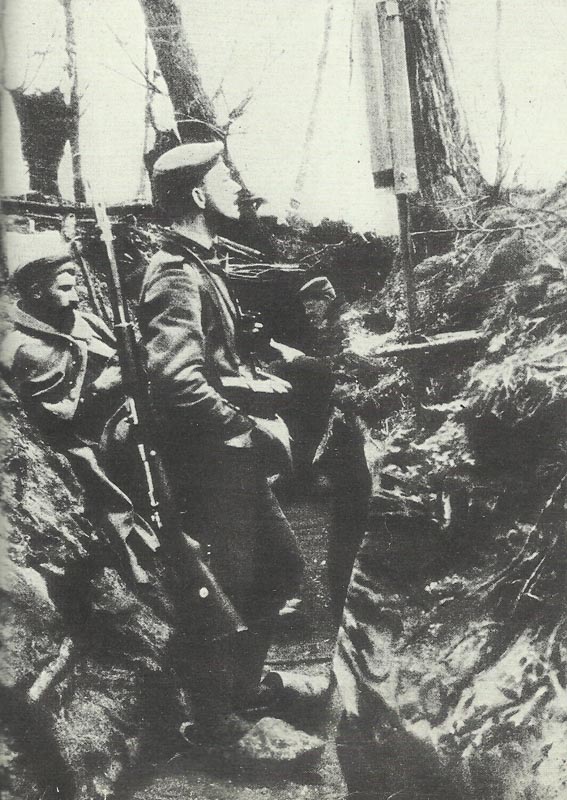 German infantrymen in the trenches