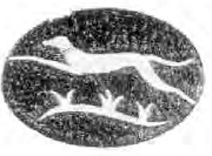 greyhound cap badge