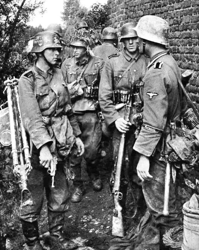 5th SS Panzer division Wiking 2 Wiking