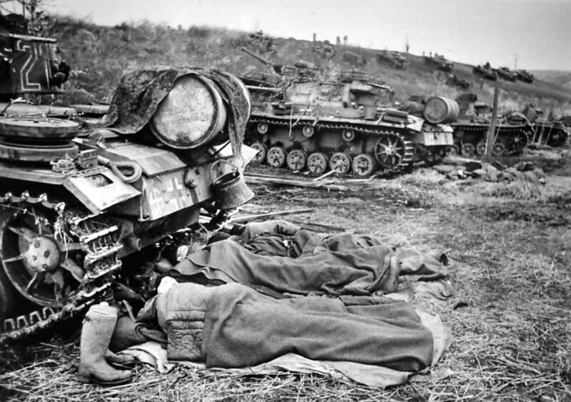 5th SS Panzer division Wiking 6 Wiking PzIII