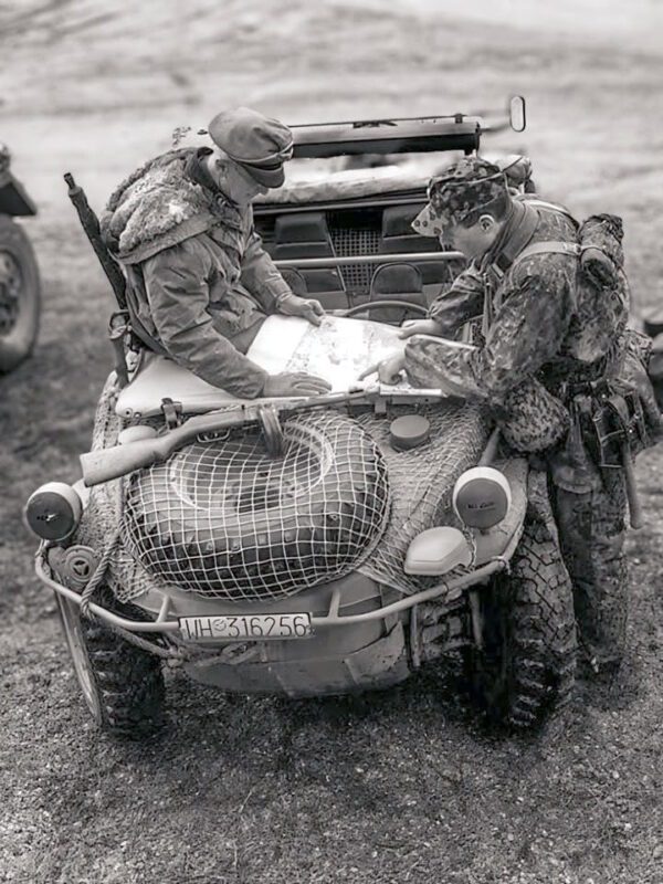 wiking ungarn 1944