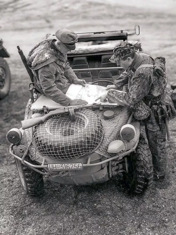5th SS Panzer division Wiking 11 wiking ungarn 1944