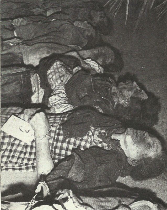 Losses in World War II 2 ermordete deutsche