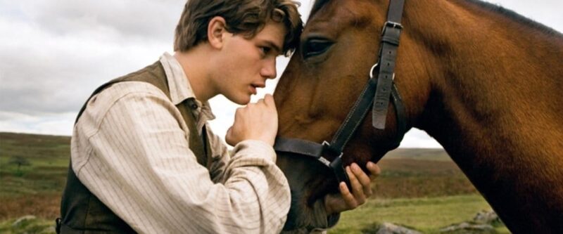 war horse 4