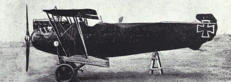 Austro-Hungarian aircraft in World War I 8 Phoenix CI