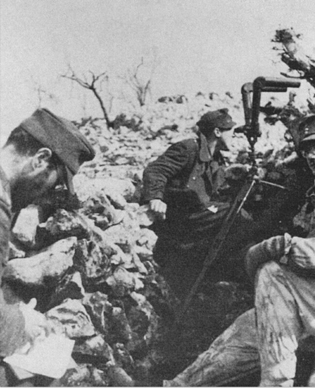 44th Reich Grenadier Division “Hoch- und Deutschmeister” 7 hoch und deutschmeister beobachter gustav linie