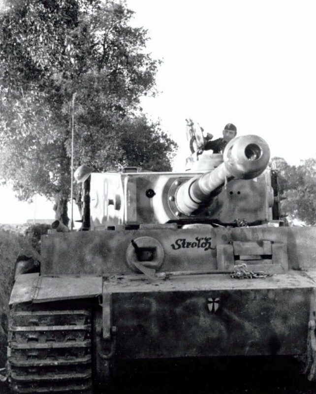 44th Reich Grenadier Division “Hoch- und Deutschmeister” 10 hoch und deutschmeister tiger