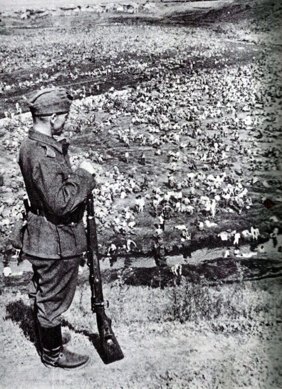 Soviet Prisoners Of War (POWs) 4 Gefangenensammelstelle Kaukasus